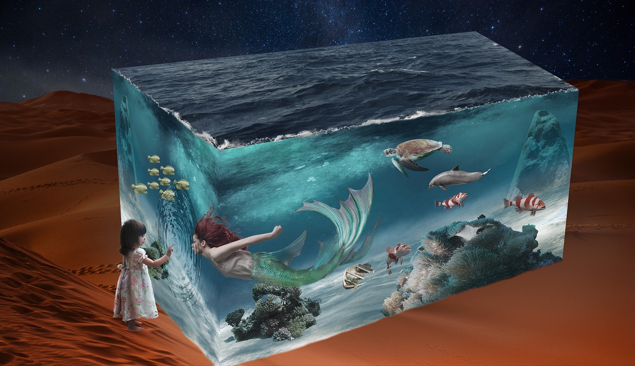 冷晏琛新作,探索艺术新境界的创意之旅