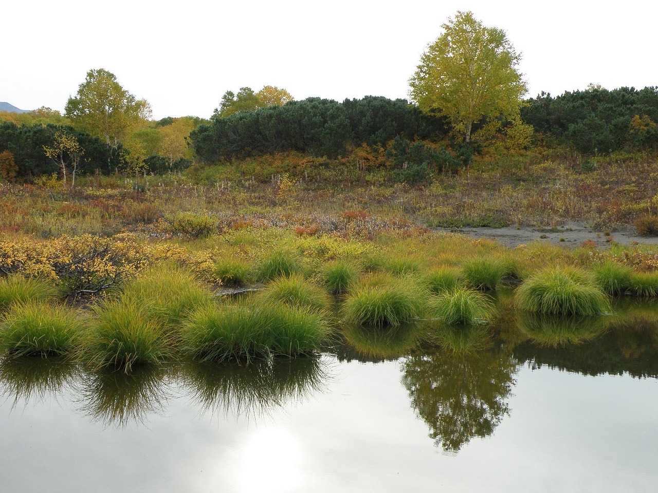 毛里湖国家湿地公园最新动态揭秘