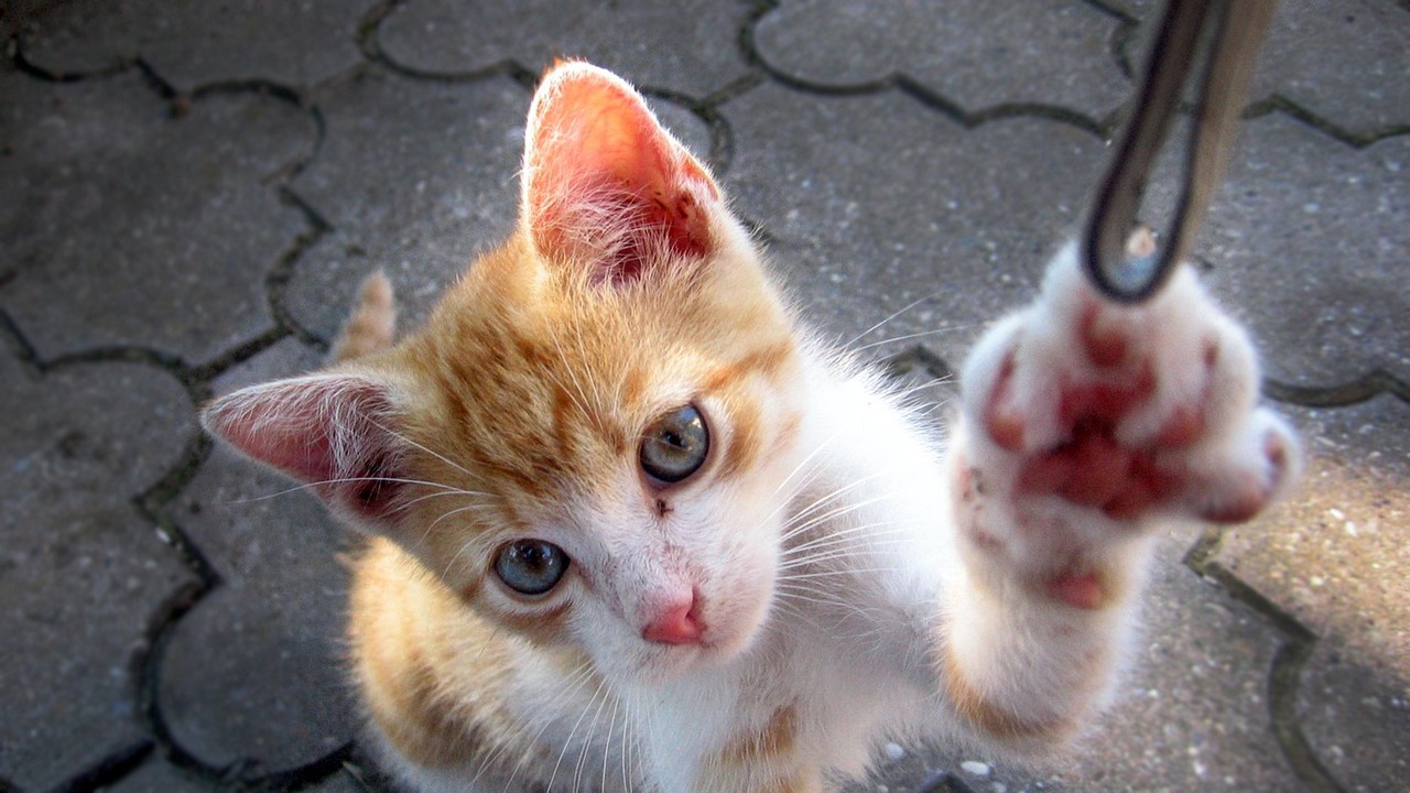 微信新动态重塑社交体验,开启社交新篇章