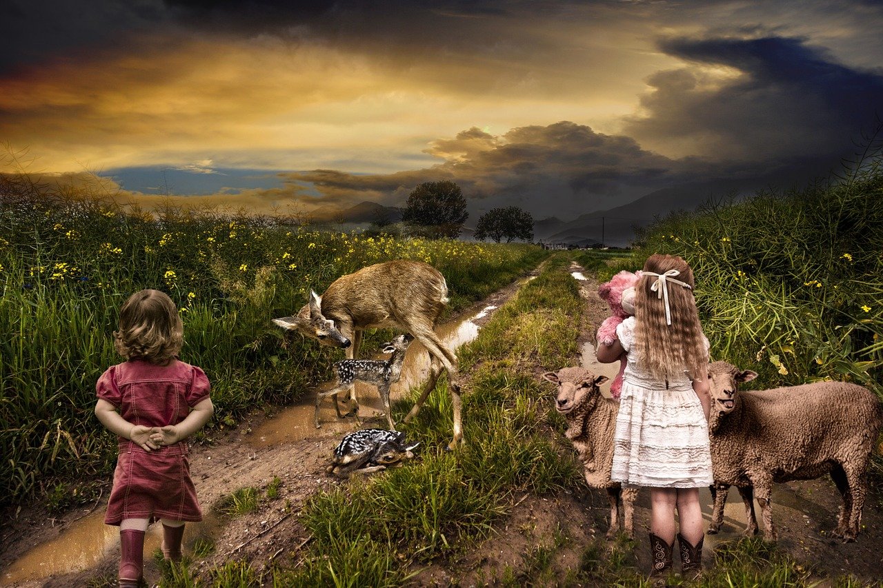 电视剧里的女儿世界,我的女儿与荧屏之旅