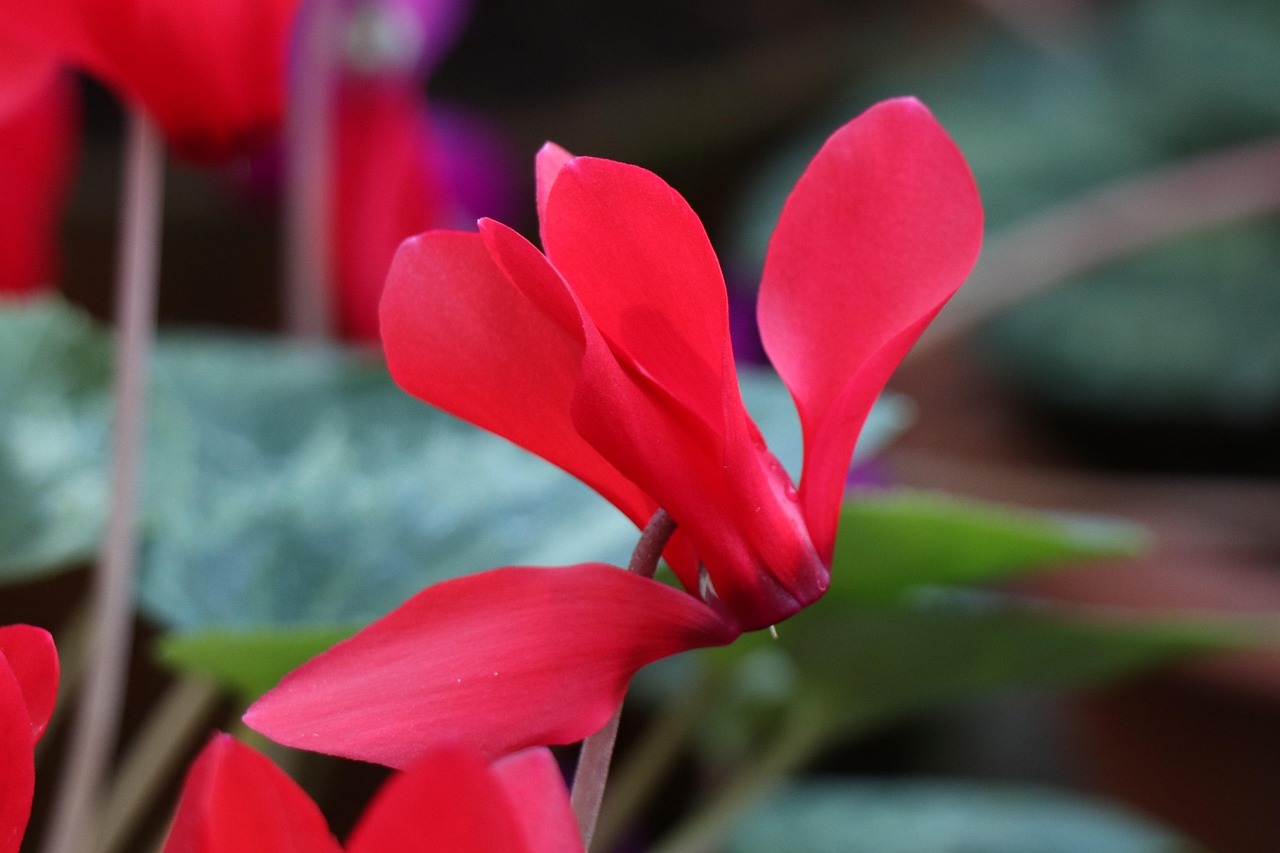 乐富支付牌照最新动态及行业趋势展望,未来发展展望与行业动态分析