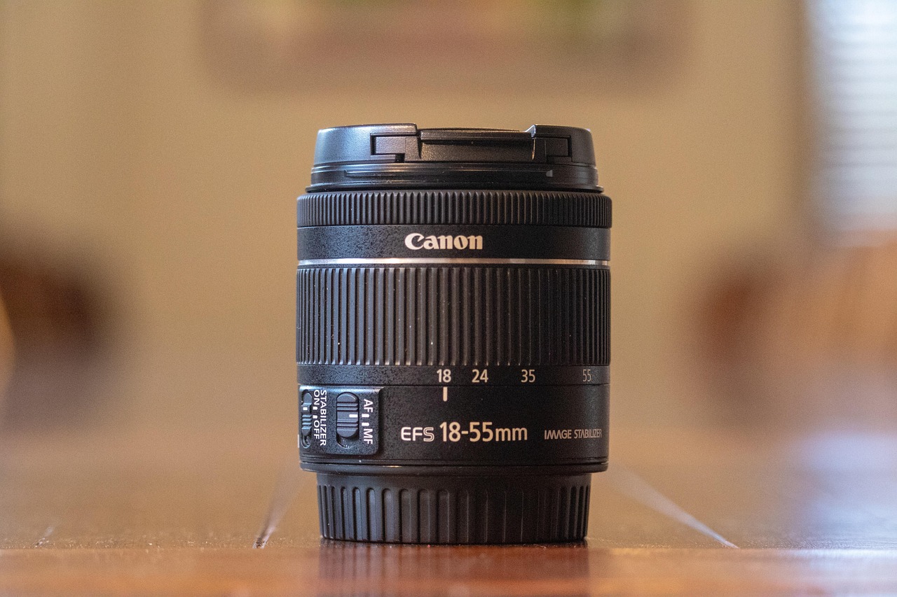 揭秘啄木鸟生态与保护工作的最新进展动态