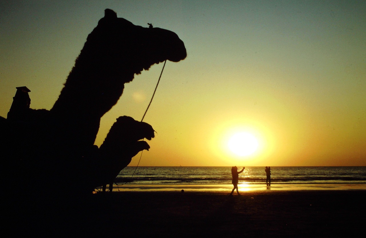张门府跳大神最新动态揭秘,神秘事件持续更新中!