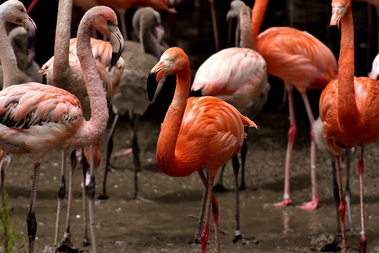 苏州房价最新动态及市场走势分析与预测