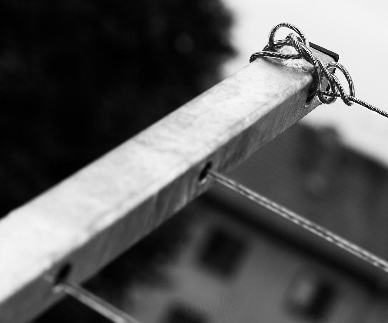 京外动态最新发展深度解析