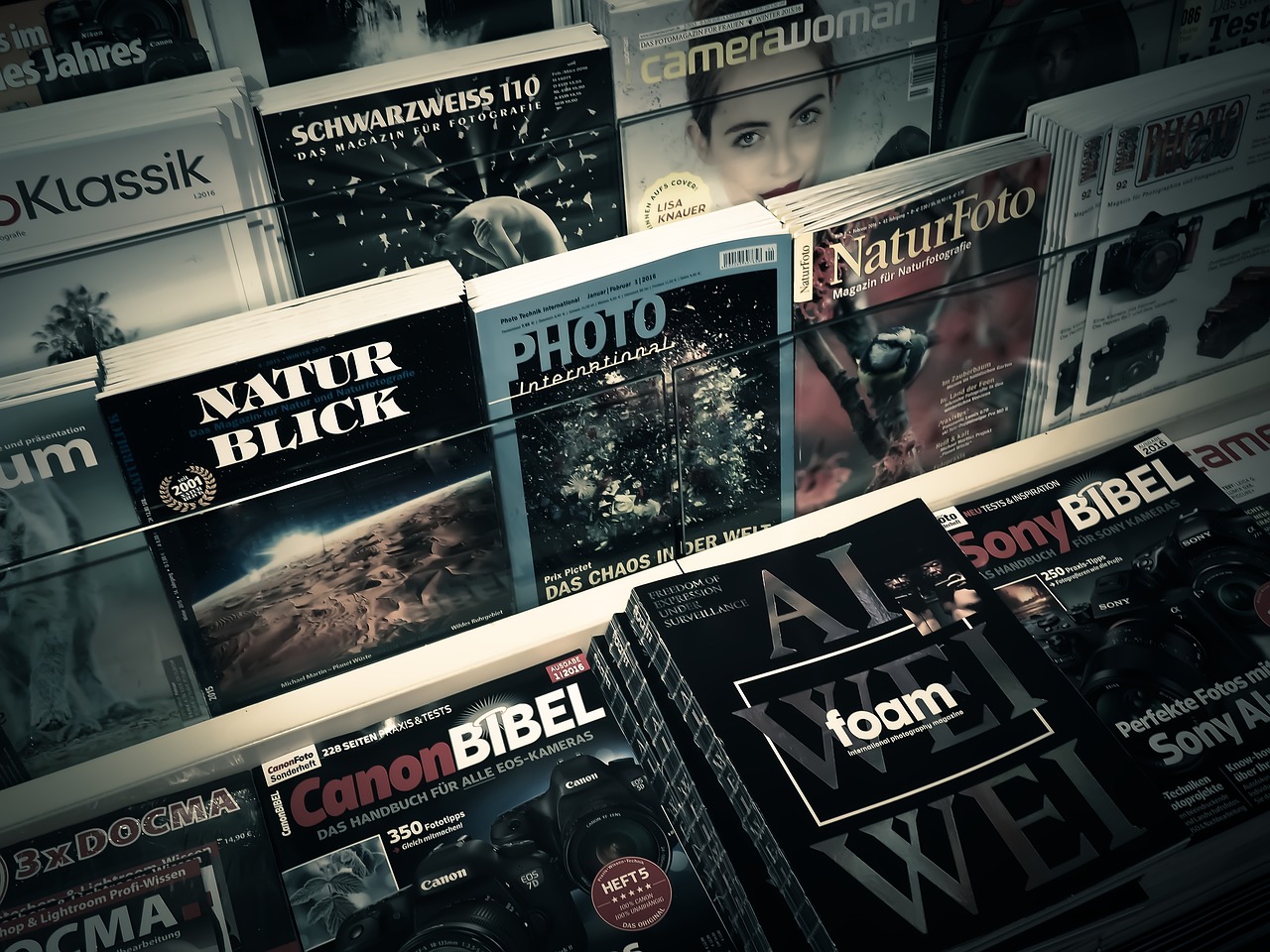 深圳公明田寮地区最新招聘信息概览