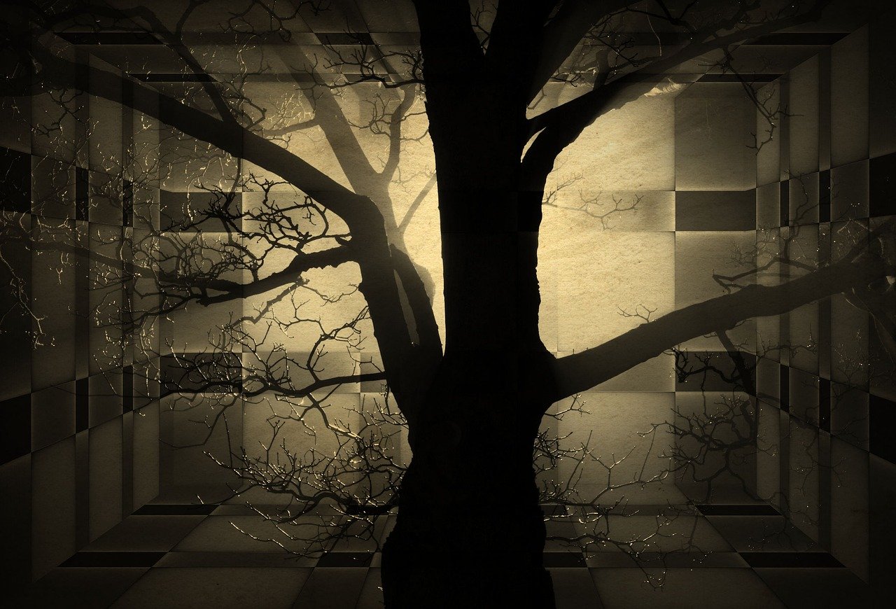 素描图片动漫,艺术与现实交融的世界探索