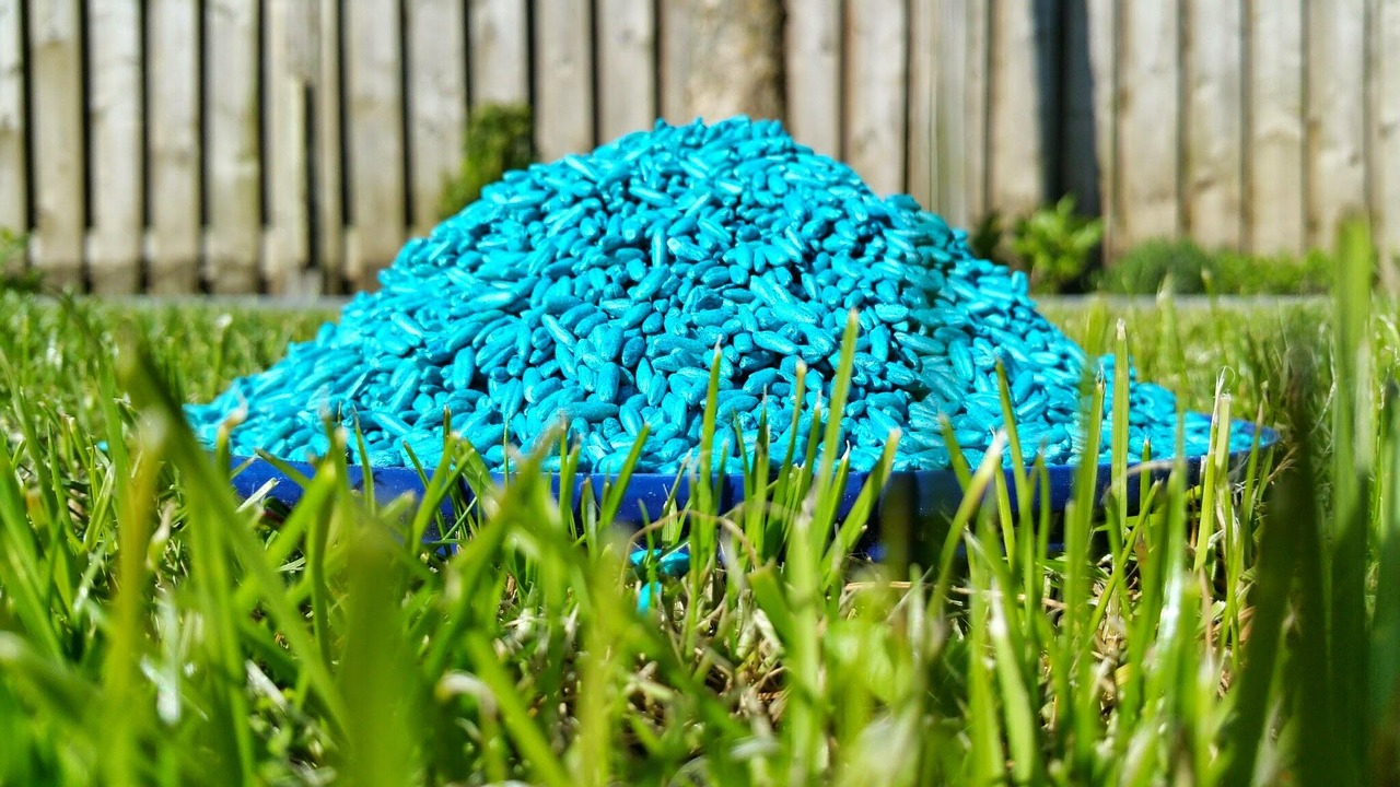 德固特资讯速递,引领行业趋势,洞悉市场前沿动态