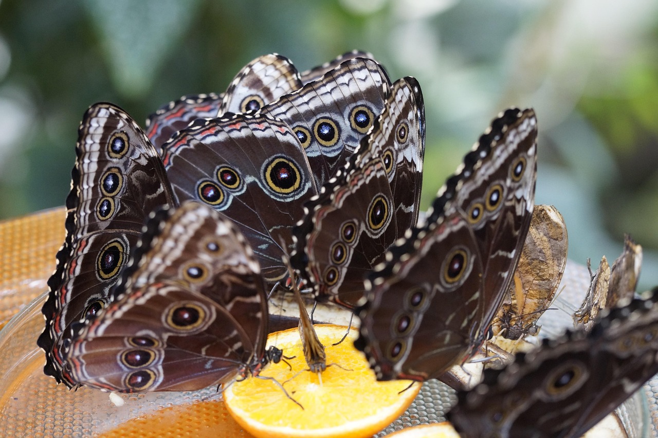 长兴岛,未来之星的蓬勃发展动态揭秘