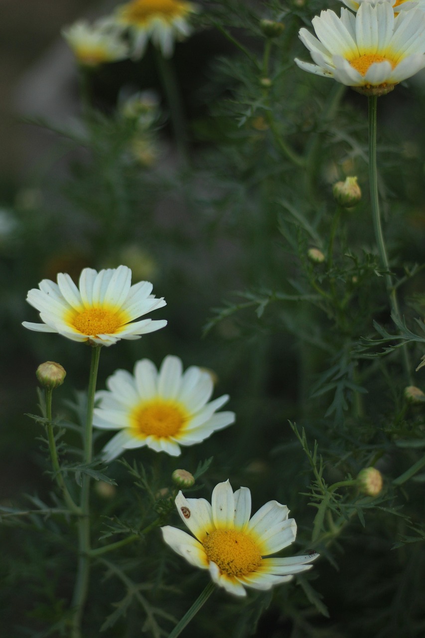 北京马拉松最新动态,激情赛道掀起新篇章