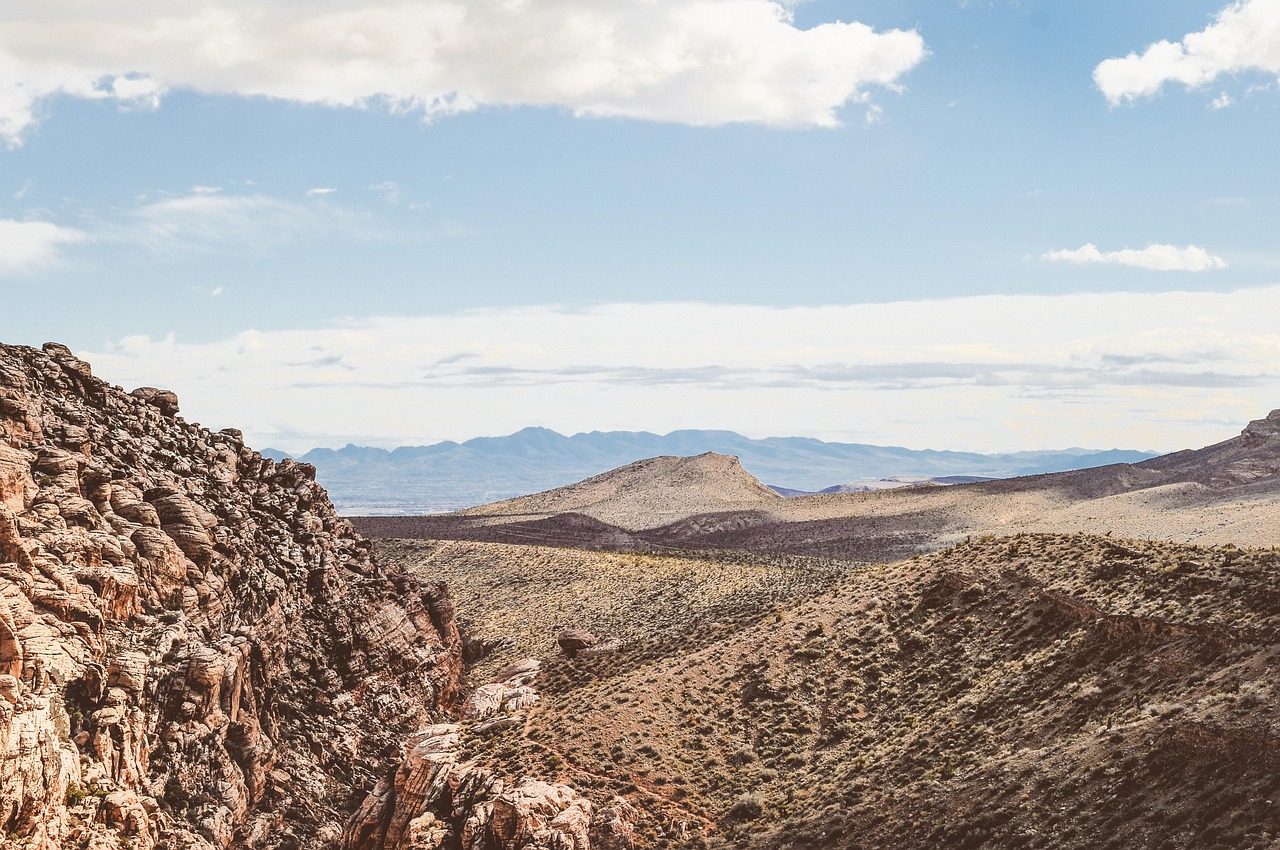 陈秋途最新动态揭秘,探索无限可能的旅程
