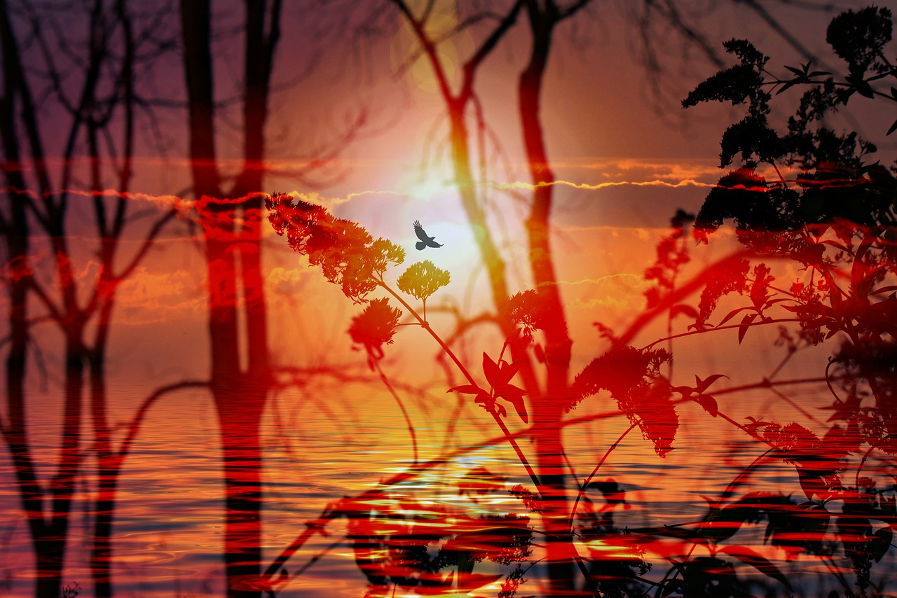 秘密花园动漫，奇幻之旅探索神秘世界