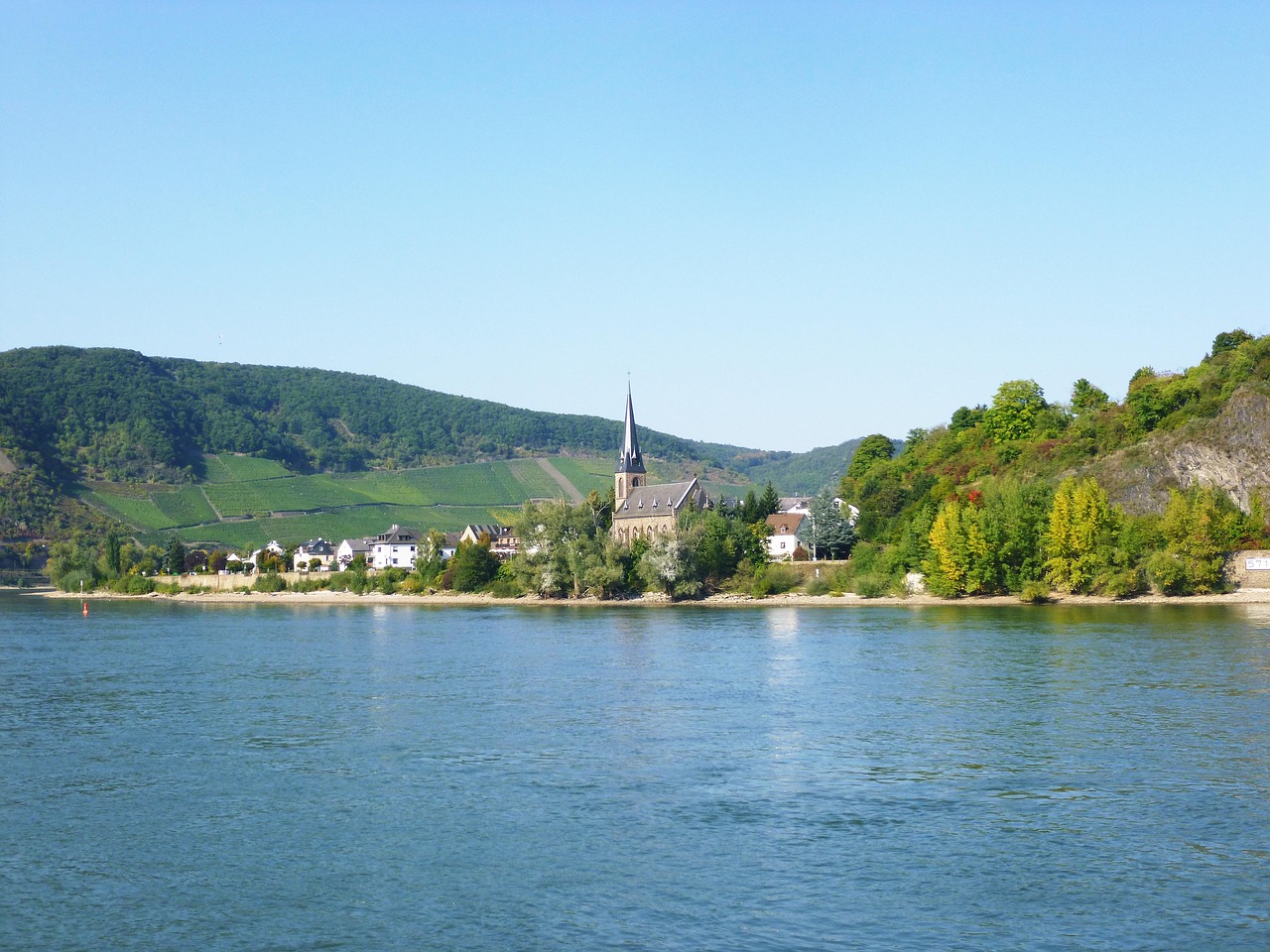 光绪元宝湖北省造当十，历史价值、市场动态与价格解析