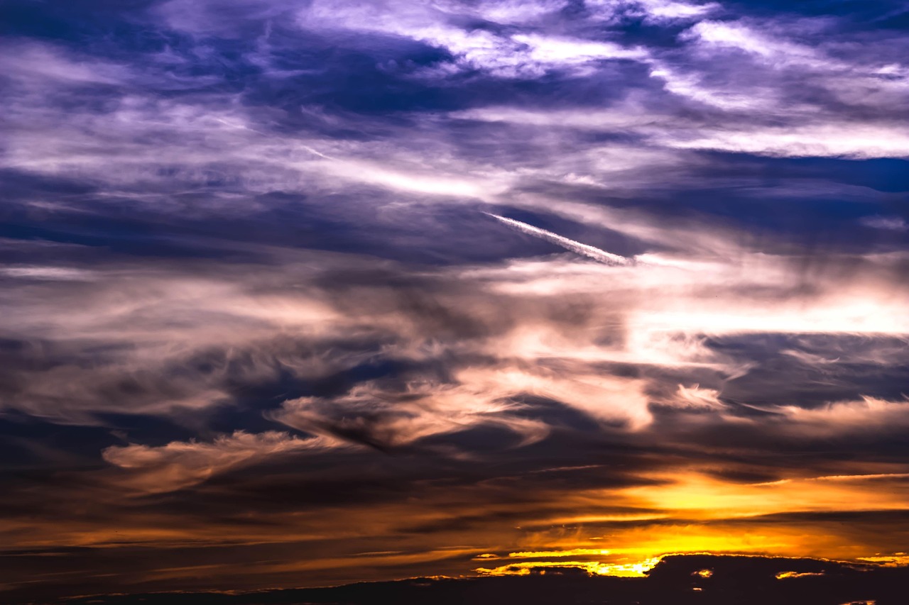 丧尸动漫大赏,令人心驰神往的经典之作