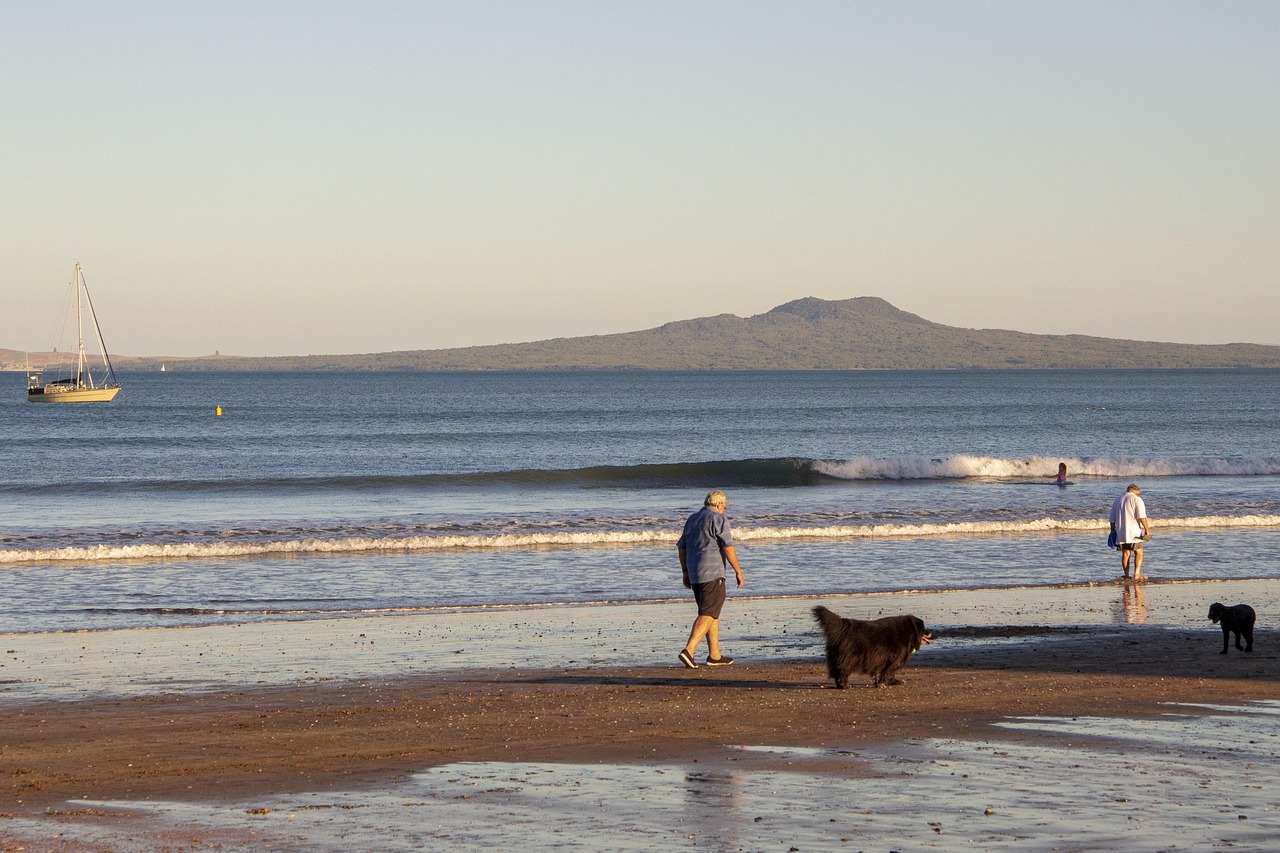 退休教师养老金调整最新动态与深远影响分析
