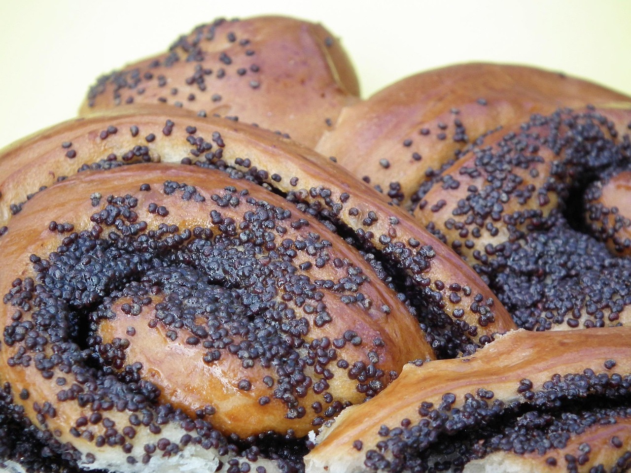 华龙证券迈向新征程,展现新作为,最新动态及行业展望