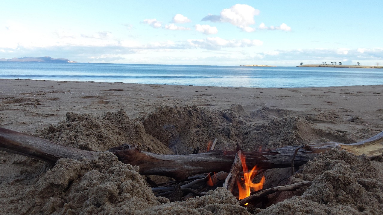 求生之王最新版,生存竞技的新里程碑