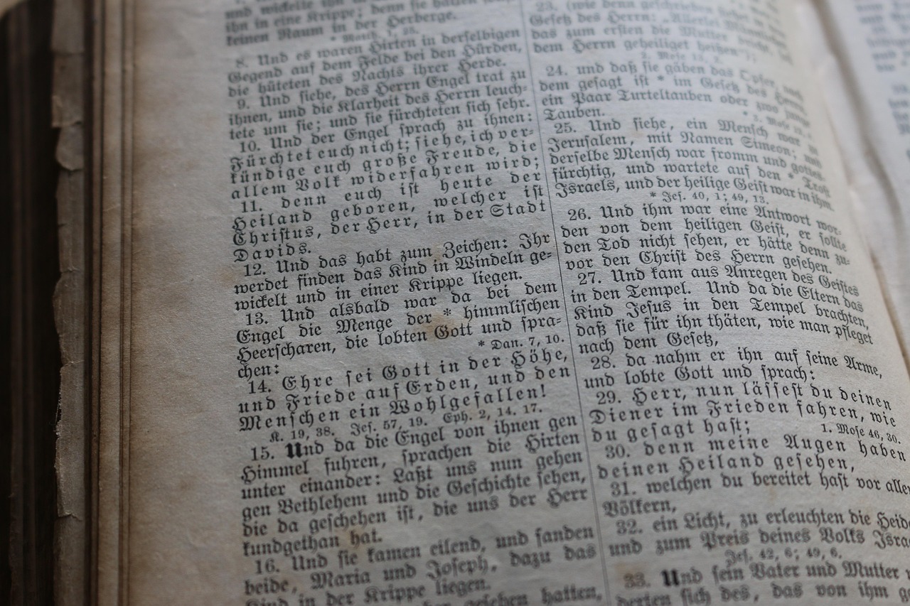 北京最新斗殴事件深度分析与反思