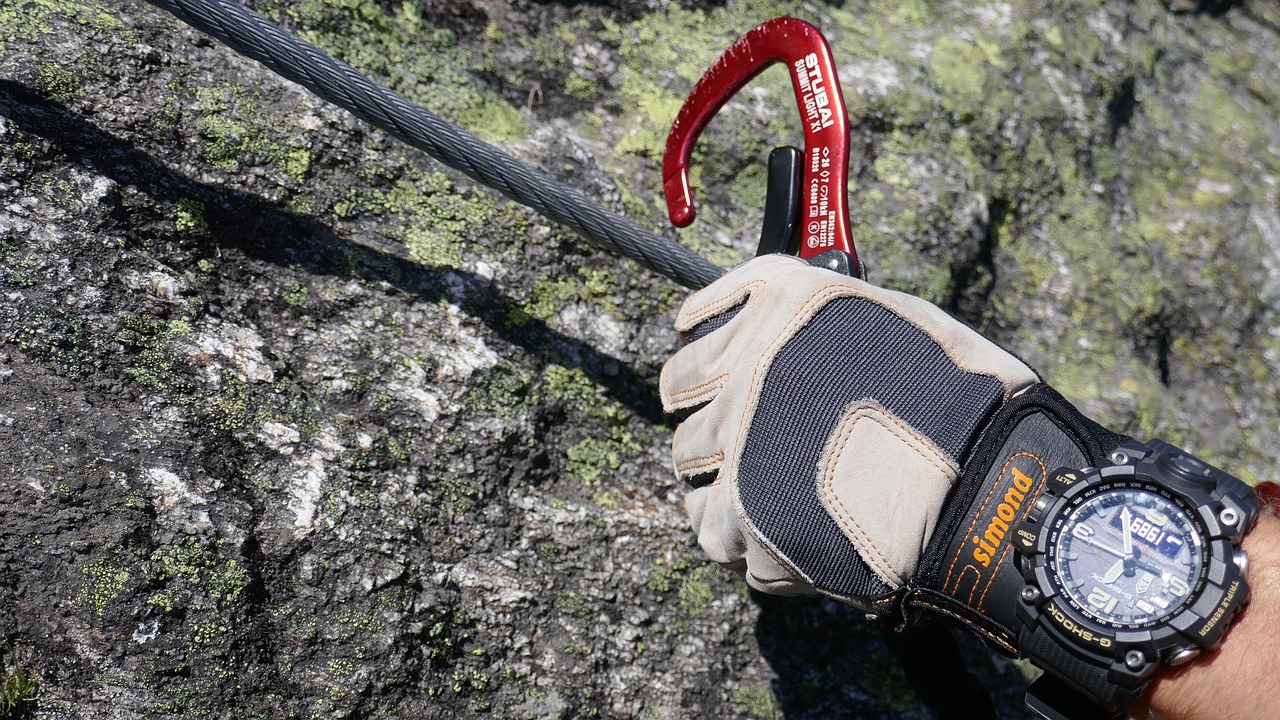 温州疫情最新动态,全面应对,共守家园安全