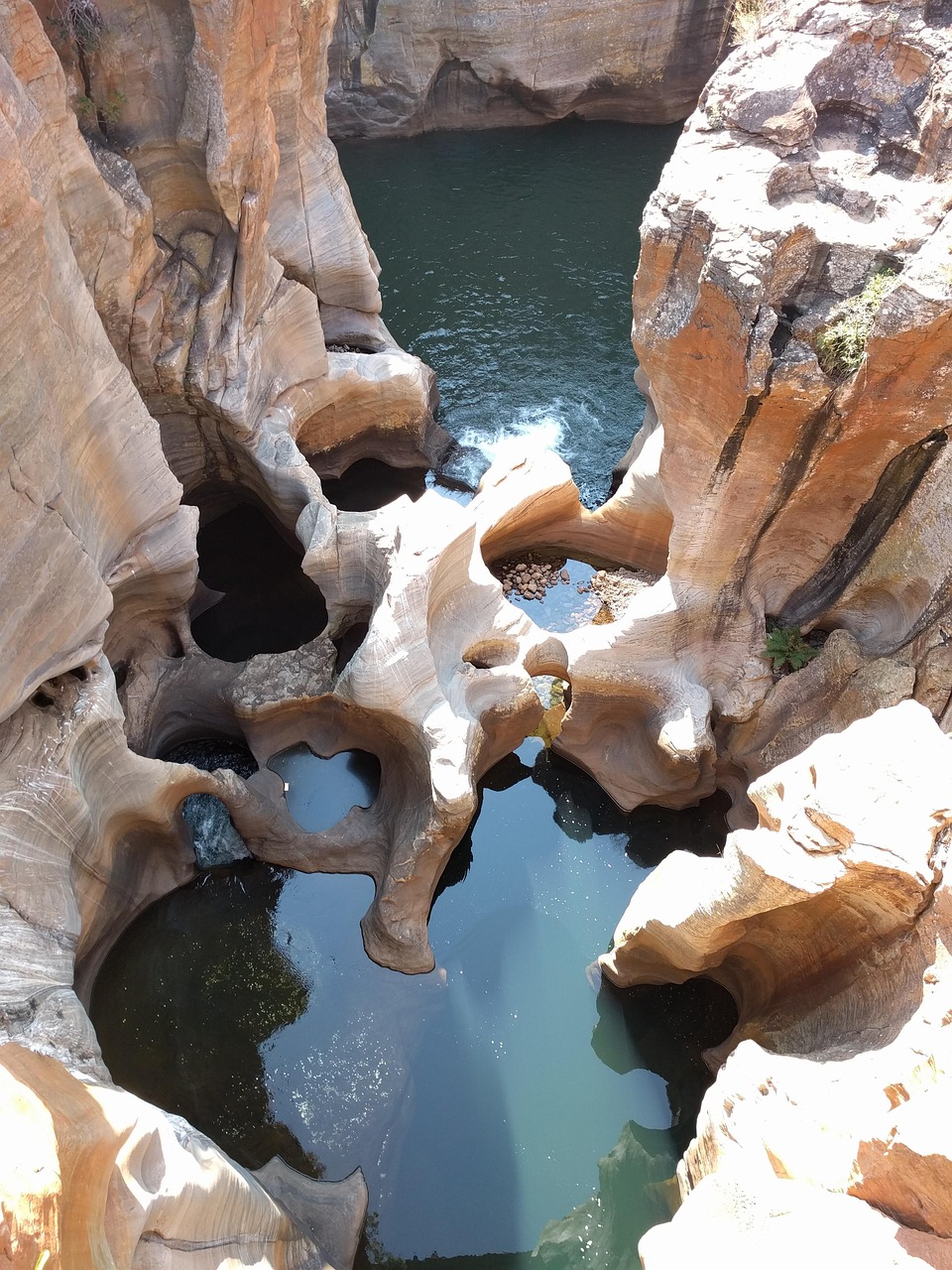 特鲁姆普2017年回顾与展望,动态资讯全解析