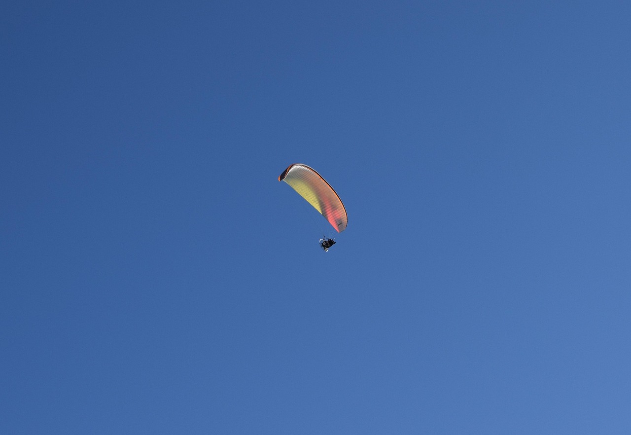 京商商贸城最新动态报道速递