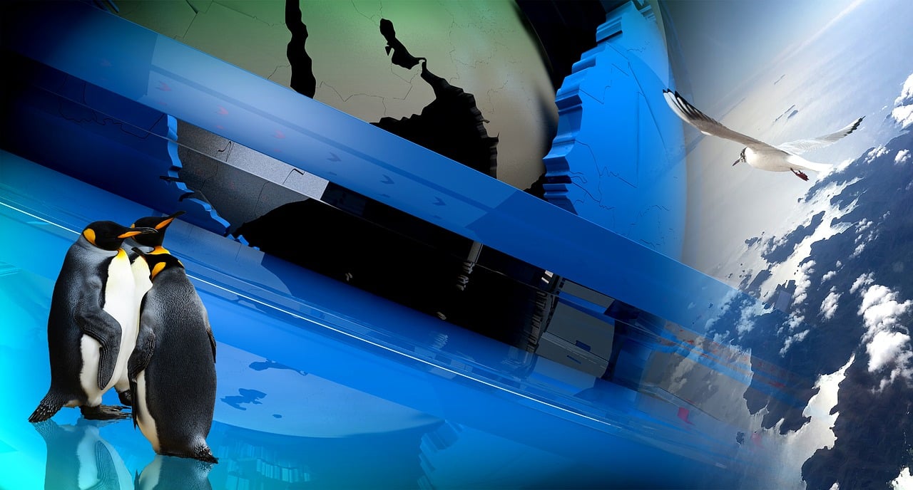 最新流行帅气网络词汇席卷全球热潮!