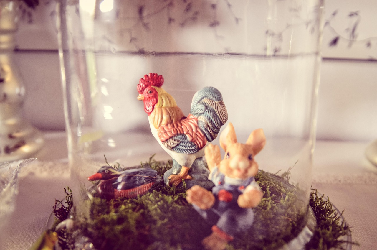 挂鸡比赛,一场别开生面的竞技盛宴,展现独特魅力的竞技挑战