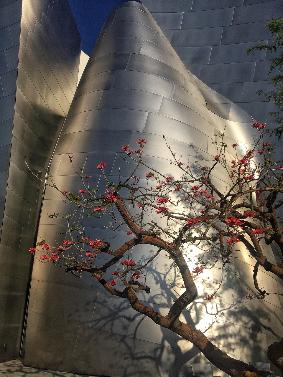 东台610省道建设进展、最新动态与未来展望