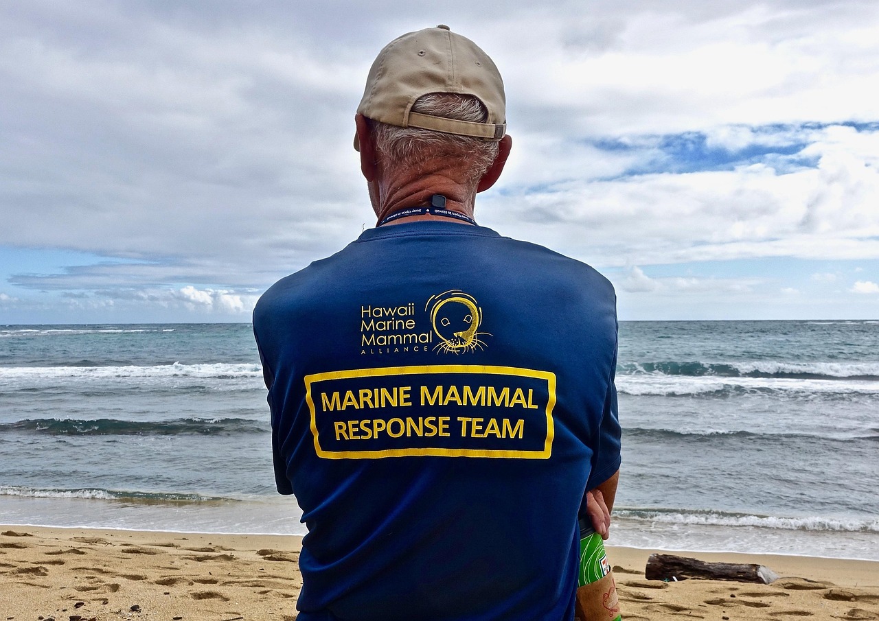 福建海警最新动态,守护海洋安全,现代化建设稳步前行