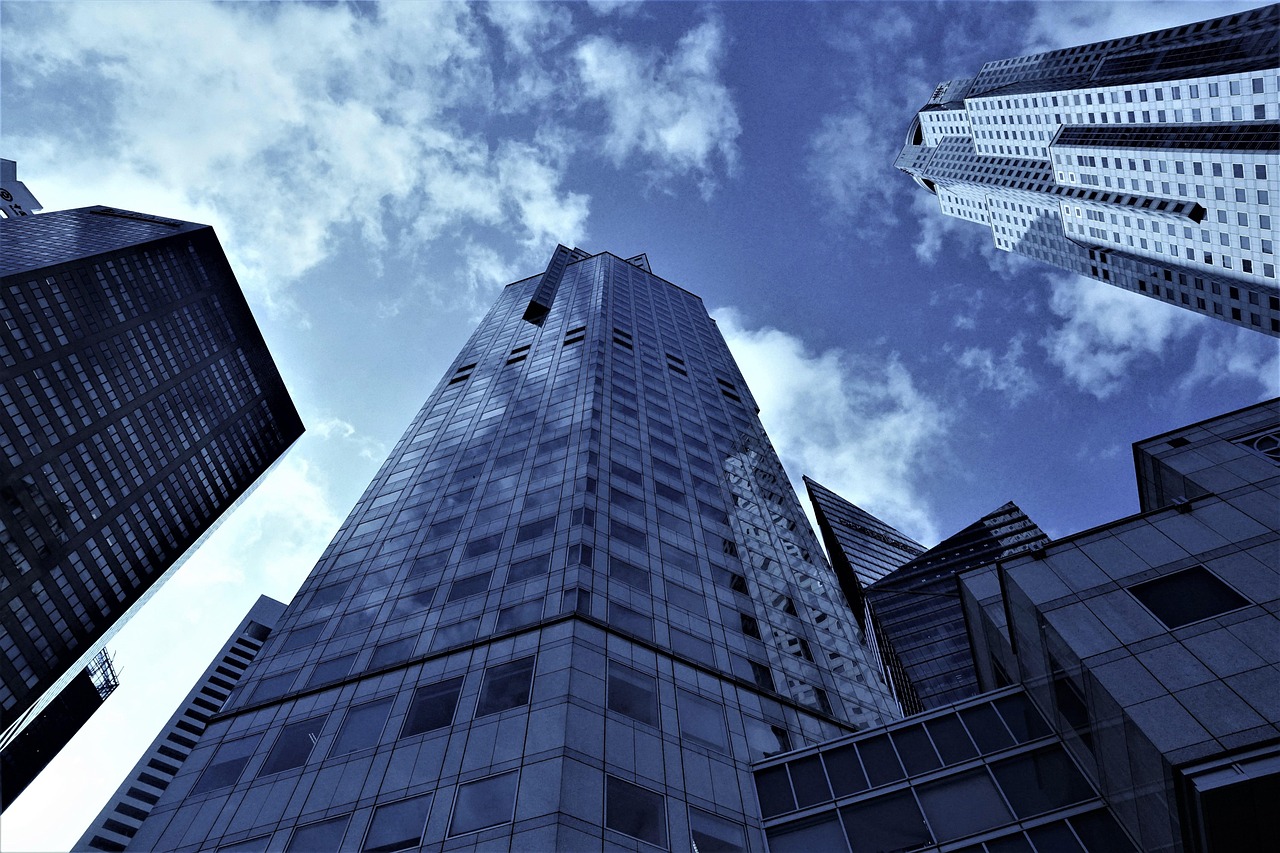 上海最新新闻概览,城市脉搏与前沿动态