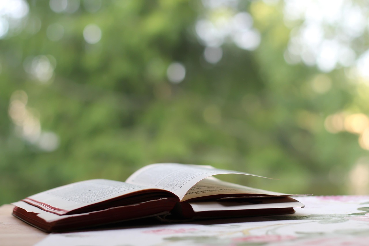 时光与你别来无恙,期待中的电视剧免费观看体验