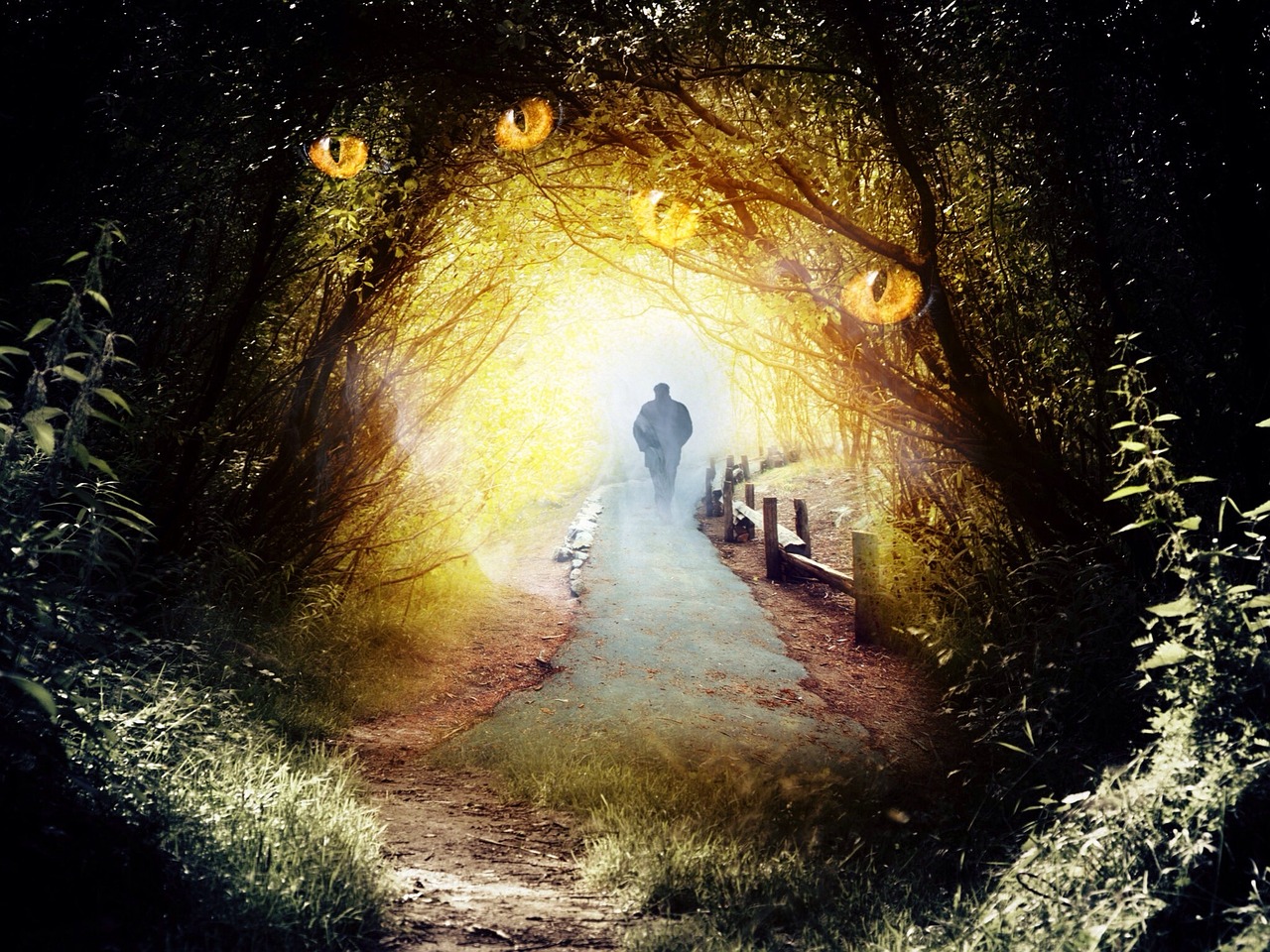 寻找演员小品艺术之旅的奇妙旅程