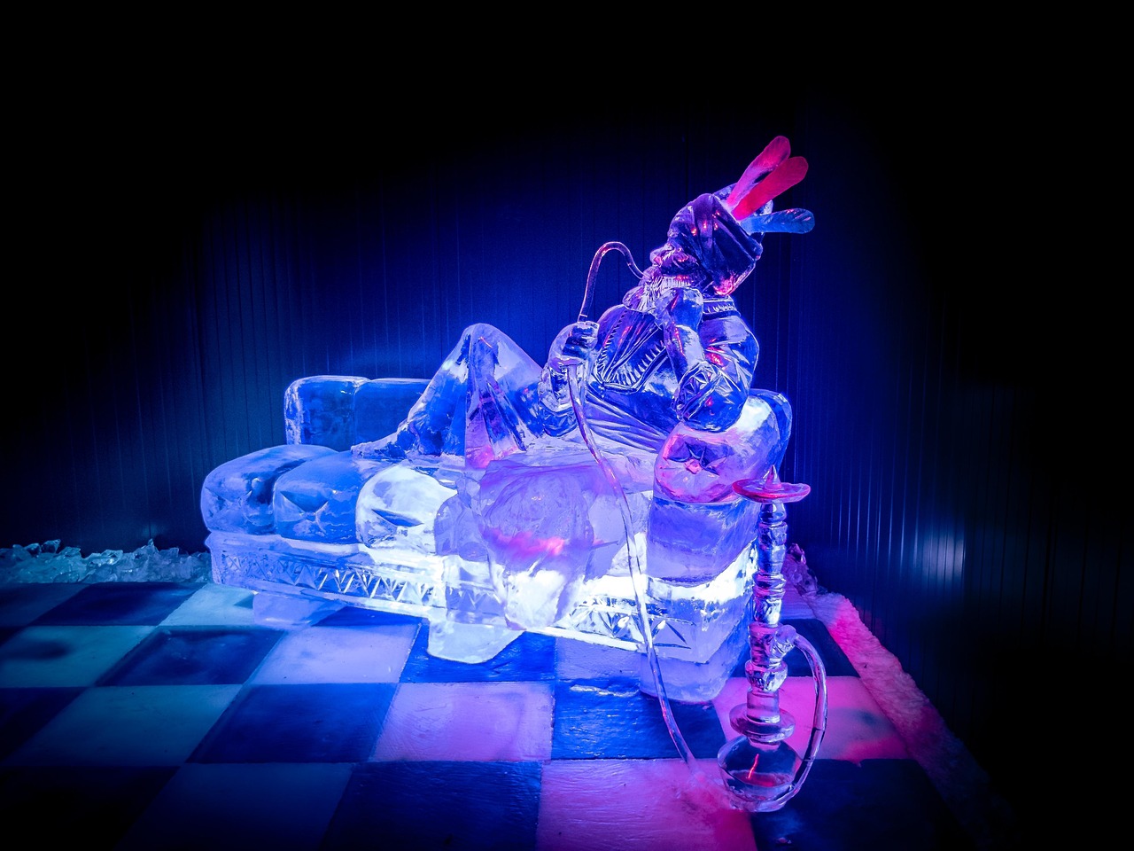 郭时旸展现新时代风采,最新动态探索无限