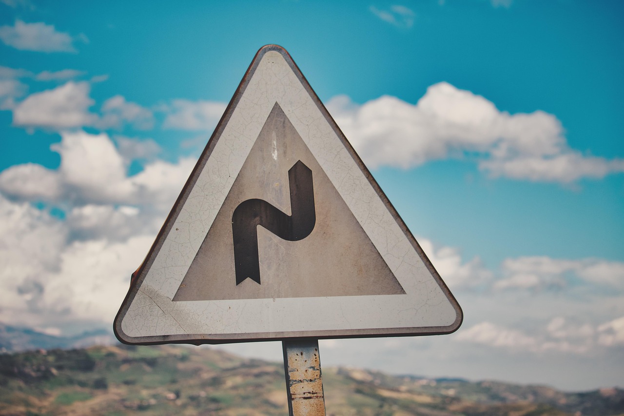 猪哥资讯,猪产业新动态与趋势探索