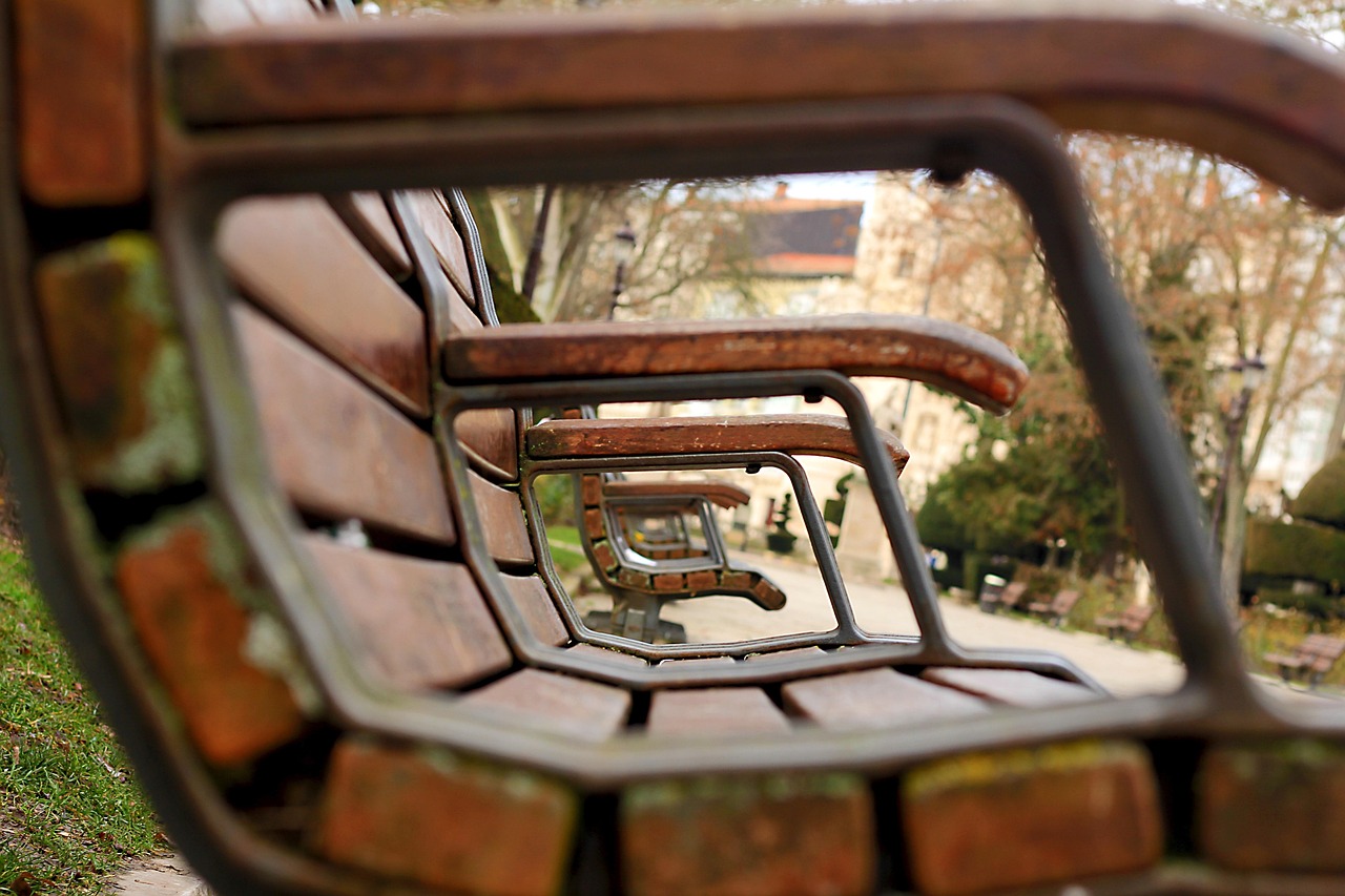 奥森公园最新动态更新