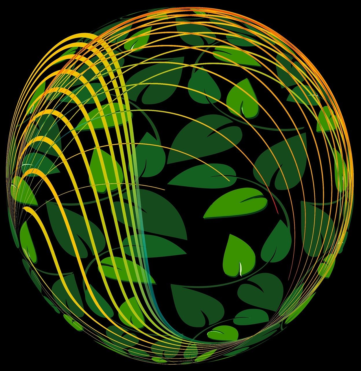 全球足球格局变迁与挑战,国际足联最新排名揭示的挑战与应对