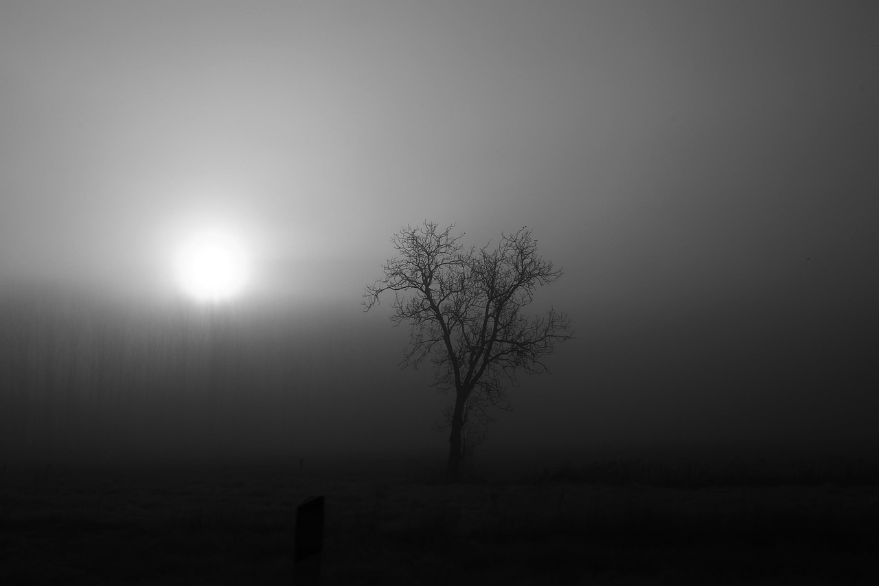 奥义揭晓,探寻宇宙之谜与生命奥秘的终极之旅