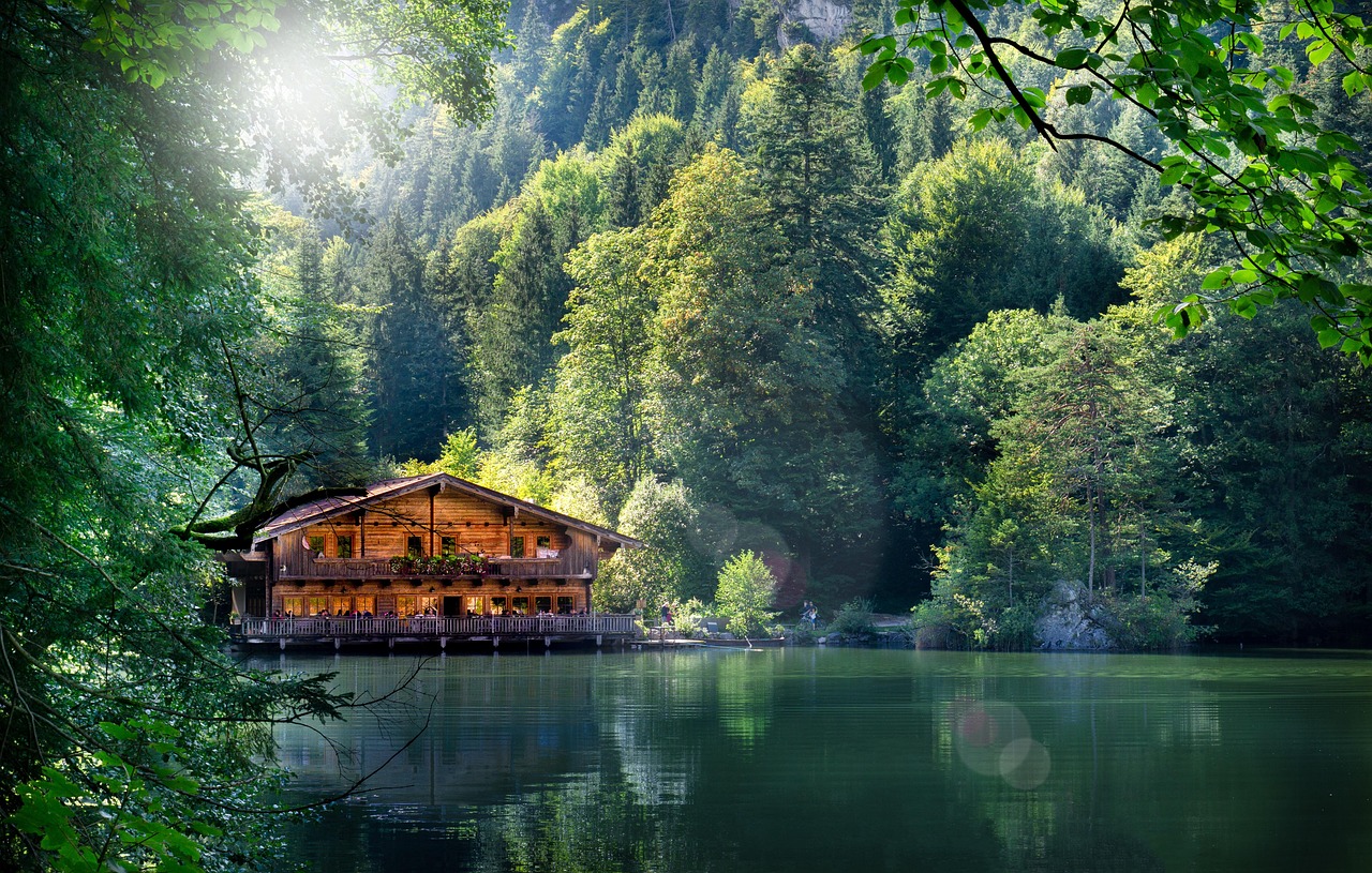 阳泉环保局动态资讯，坚定推动绿色发展步伐