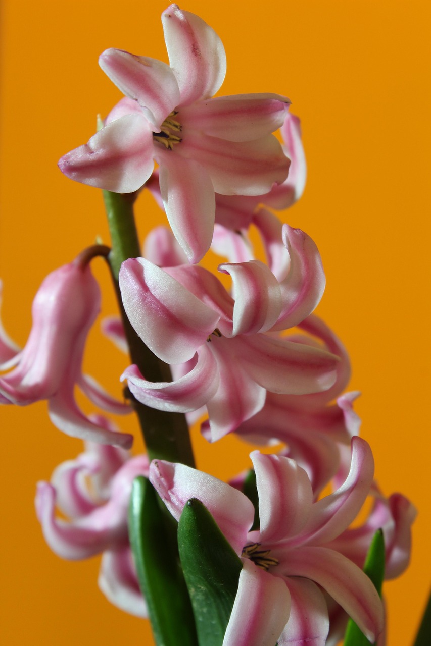 海口最新资讯,城市发展与生活动态全掌握