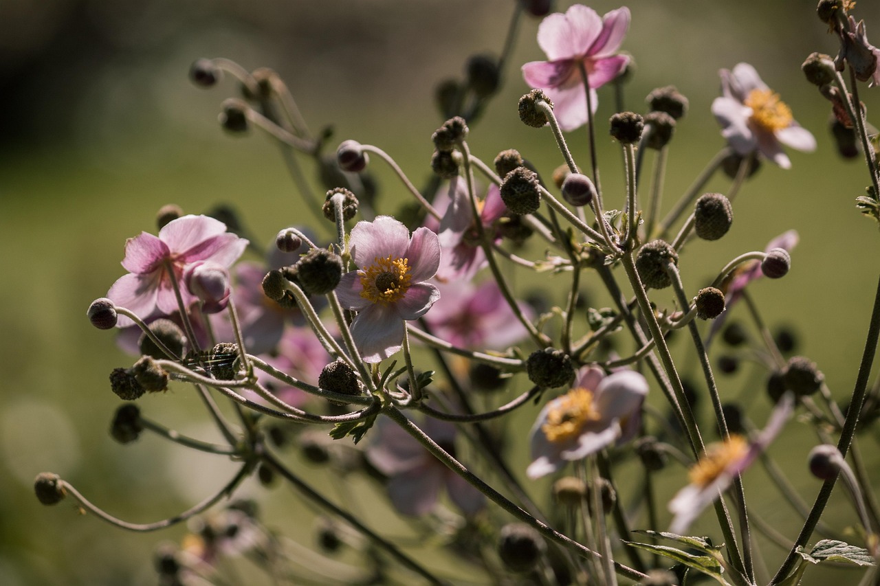 全球水灾最新动态,挑战与应对策略的进展