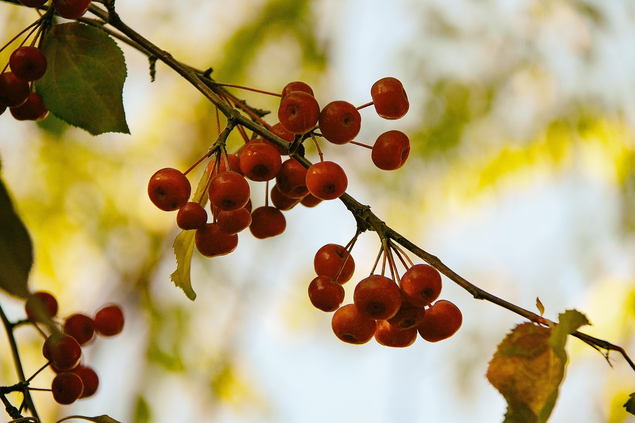 乐从钢材市场价格行情深度解析与动态观察