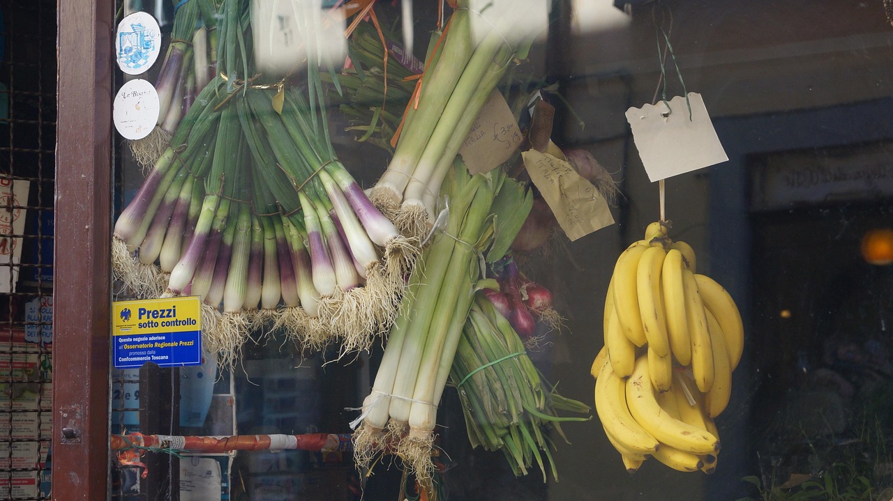张昕宇梁红最新动态揭秘,探索未知旅程与多彩生活