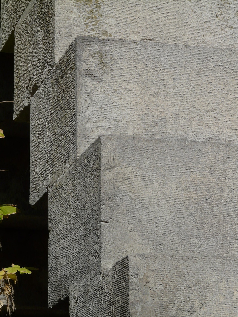 尚荣医疗股票最新消息全面解析与动态更新