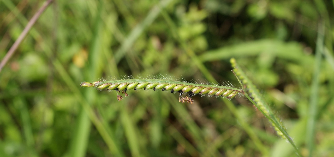 黄金价格动态变化揭秘,影响因素与市场趋势分析