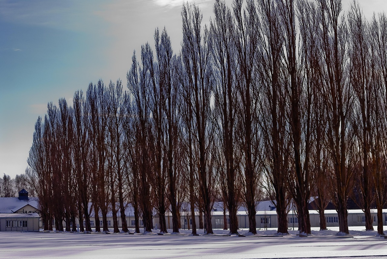 海龙战最新动态,引领军事变革新时代