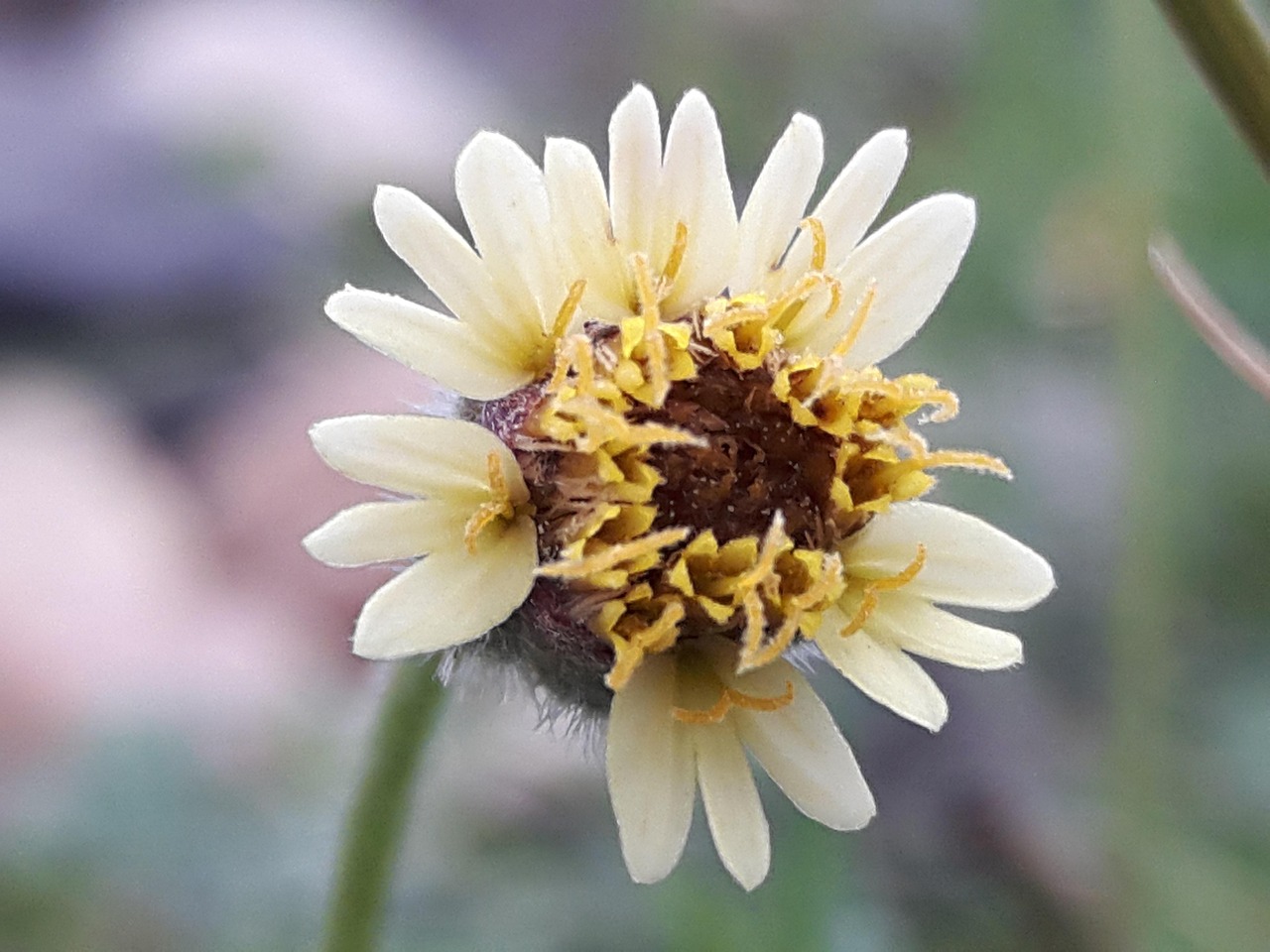 上海轨道交通20号线最新进展、影响与展望,最新动态揭秘