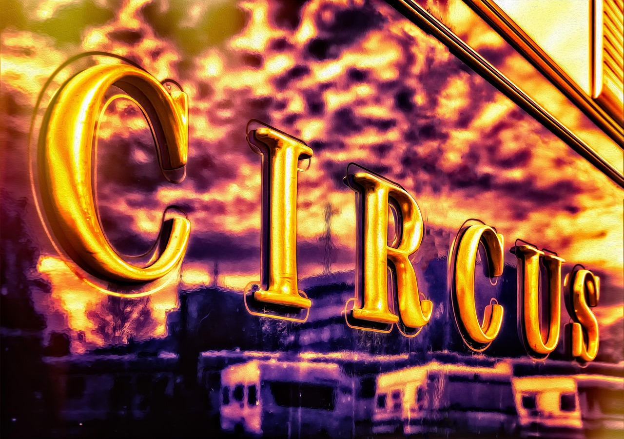 作家电影,从文字到银幕的蜕变之旅