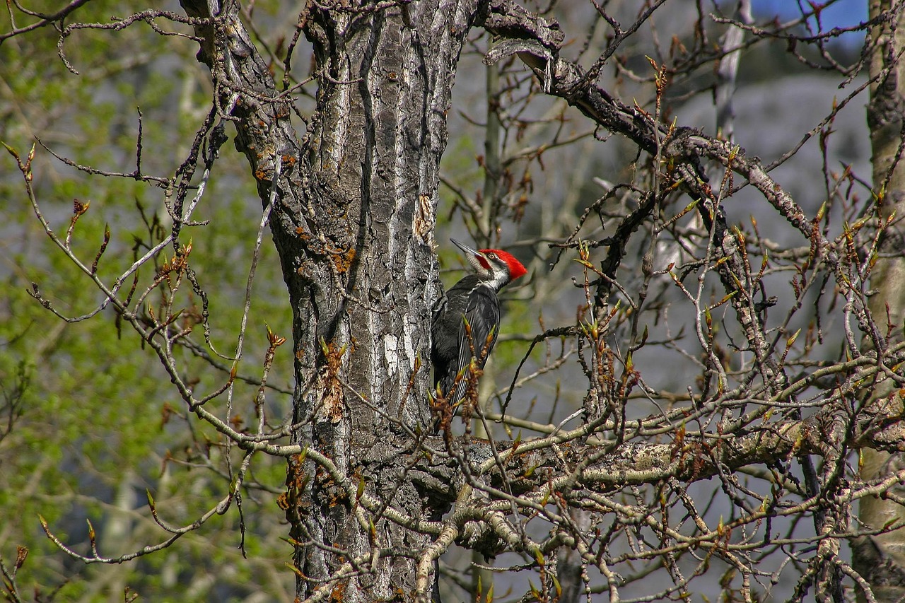 武汉最新资讯概览,最新动态一网打尽