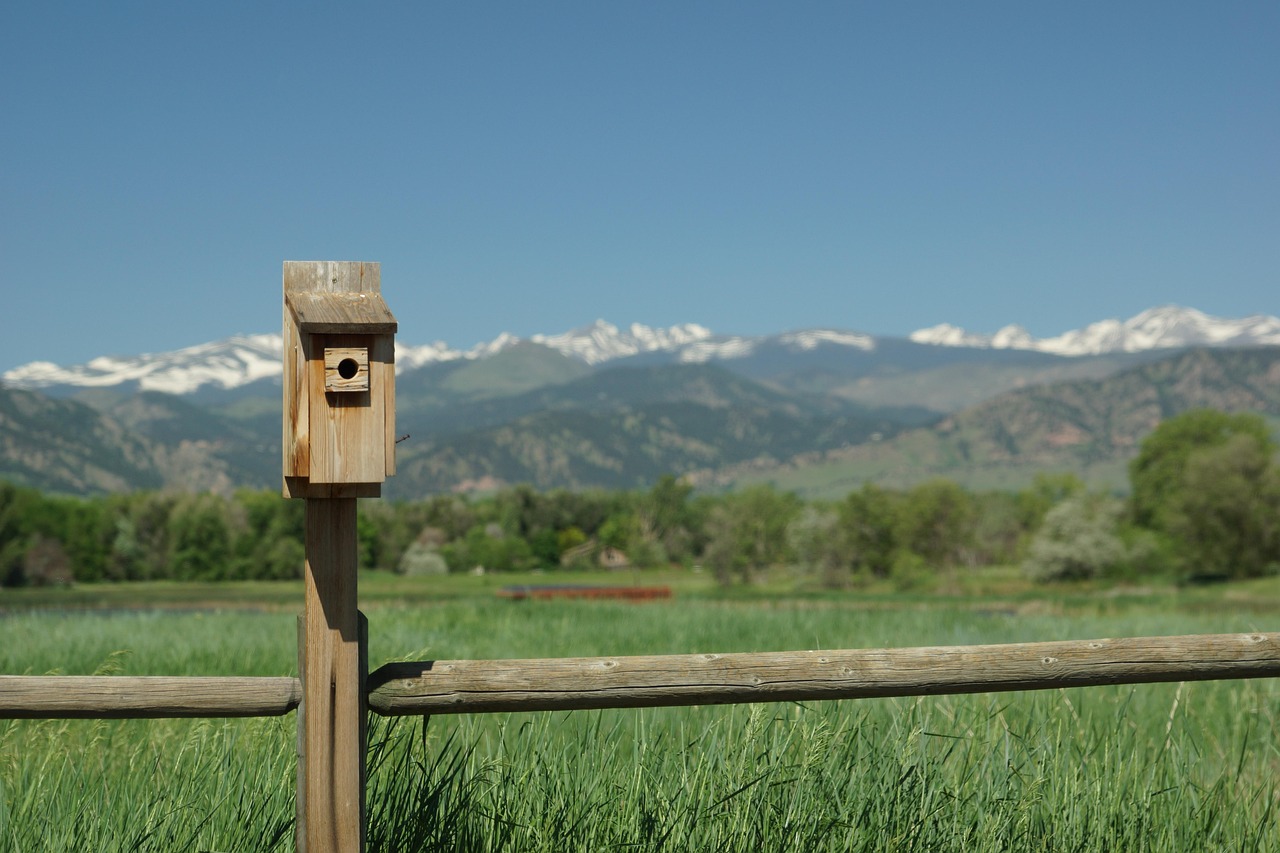 春风新步,自然与人文的和谐共生探索