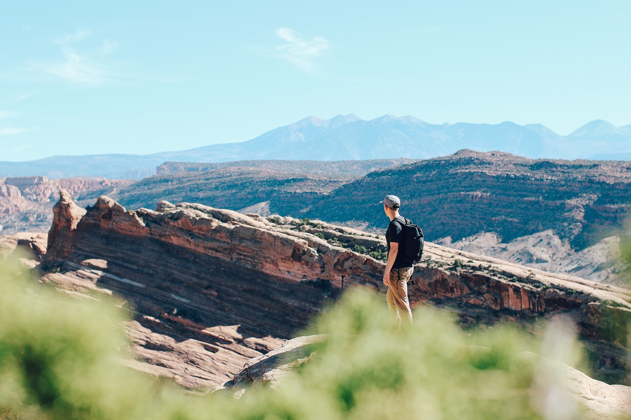 最新青青草原免费视频探索与体验之旅